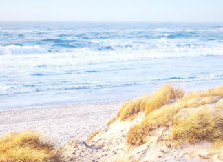 Die Lassens von Sylt