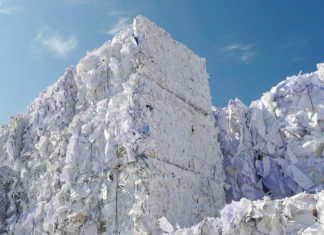 Kurs auf eine grüne Zukunft