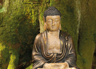 Messe für Mensch, Tier, Wohnraum