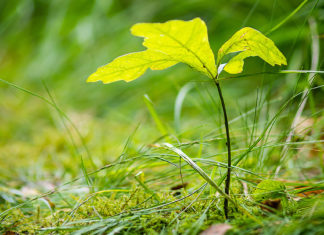 Kompensieren statt resignieren