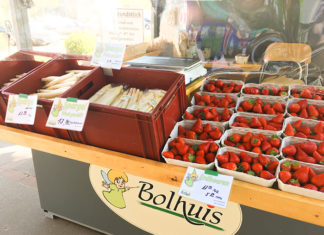 Süße Früchtchen und junge Triebe