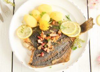 Scholle Finkenwerder Art