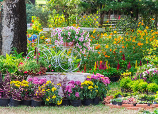 Von harmonisch bis kontrastreich – traumhafte Farbwelten im Garten