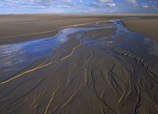 In eine spannende Welt abtauchen