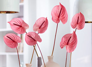 Farben wie aus der Eisdiele