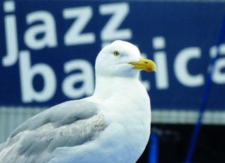 Mittsommer in Timmendorfer Strand © Daniel Weth / JB