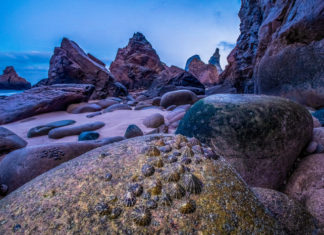 Shaped by the Sea – Fotografien von Theo Bosboom