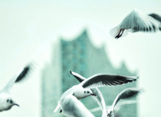 Aufwind für die Kultur