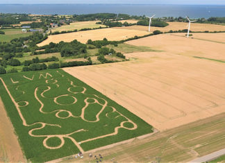 Das „Irrland“ von Angeln