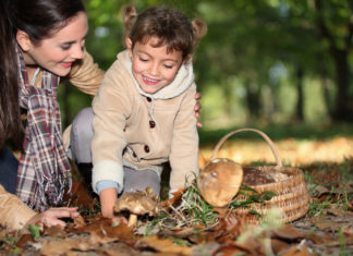 Endlich wieder Pilze sammeln