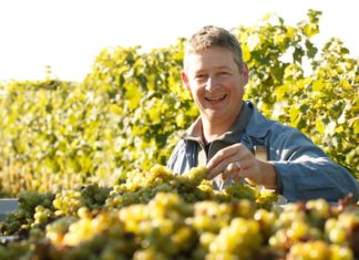 Purer Genuss aus glücklichen Trauben Winzer Ansgar Galler hat sich der nachhaltigsten Form des Bioweinanbaus verschrieben.