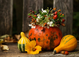 Schaurig schöne Augenblicke zu Halloween