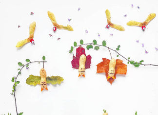 Von der Knospe zur Kunst