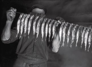 FISCH. GEMÜSE. WERTPAPIERE.FIDE STRUCK FOTOGRAFIERT HAMBURG 1930-33