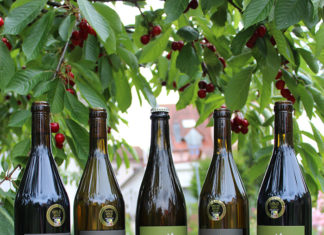 Glückliche Trauben, glückliche Gewinner