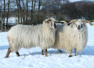Gemeinsam können wir alles schaffen