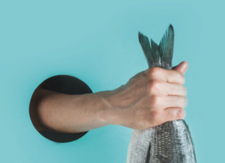 Der Fisch stinkt vom Kopf an