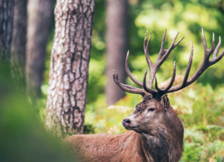Mehr Raum, mehr Leben