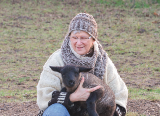 WOLLE MIT MÄÄÄHRWERT