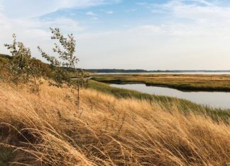 WAHRE FREUDEN IM HOHEN NORDEN