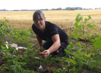 Tea-Time für die Wissenschaft