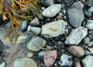 Den Sommer festhalten