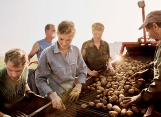Natürlichkeit erleben