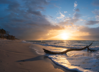 Der Blick zurück – ein Blick nach vorne?