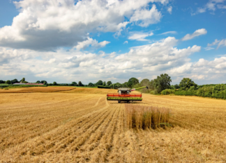 Das ist große Kunst