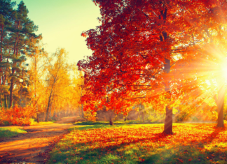 Oktober – nicht gegen Gold aufzuwiegen