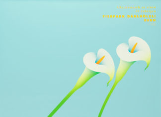 150 Jahre Sammeln und Ausstellen