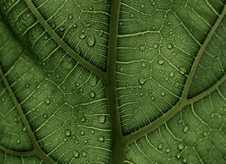 Naturschutz geht uns alle an