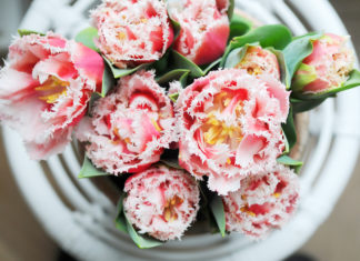 Kinder des Frühlings