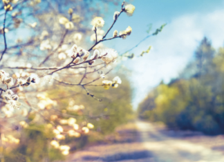 Wie heißt das Zauberwort?
