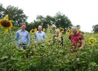 Von prächtigen Blumenwiesen und nachhaltigenGeschenkideen