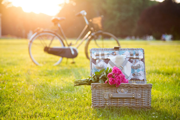 Picnic basket, bouquet, bicycle on grass in park