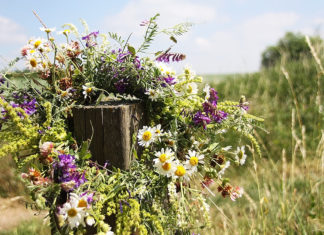 Finnisches Mittsommerfest im Günter Grass-Haus