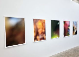 Foto-Reflexionen 07 (RFLXN 07)