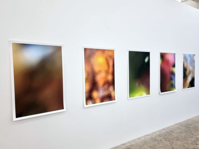 01_Stadtgalerie_Photo