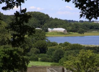 Sommermarkt in Haithabu