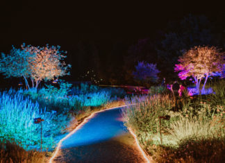 Leuchtende Sommernächte im Park © Nils Eberling