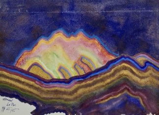 Tropengluten und Kakteenbäume