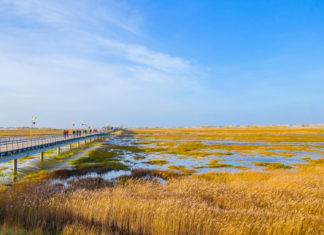 Nachhaltig, fair und einfach schön