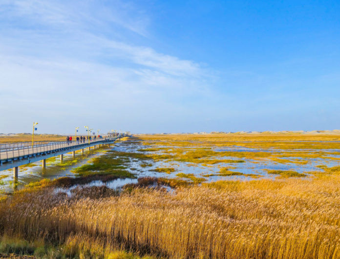 Küstenlandschaft St. Peter-Ording im Herbst