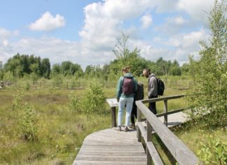 Klimaschutz durch Moore