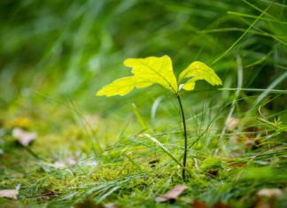 Kompensieren statt resignieren