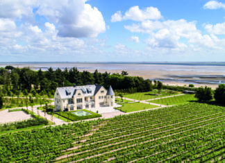 Heimat, deine Weine!