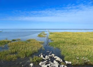 Nachhaltiger Urlaub in Dithmarschen