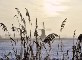 Winterzauber in Holstein