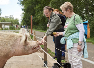 Tierschutz an der Schlei